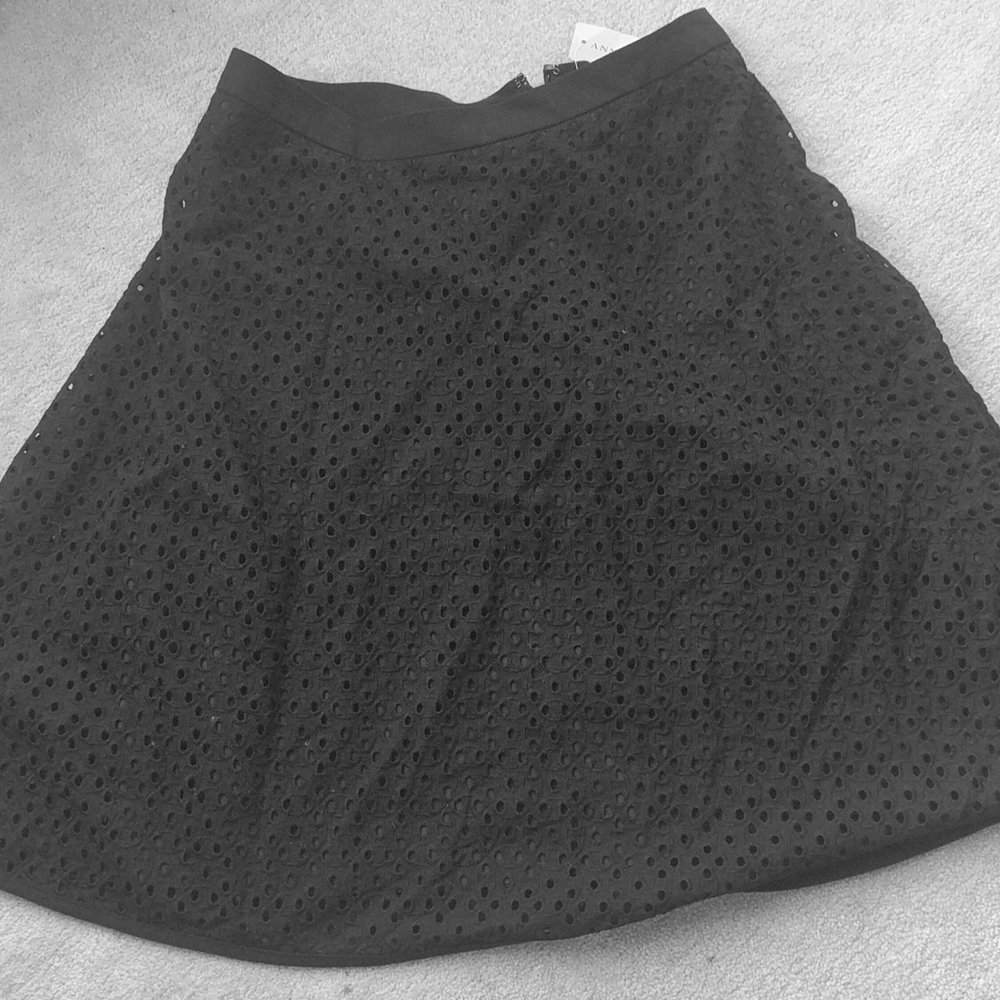 Ann Taylor skirt